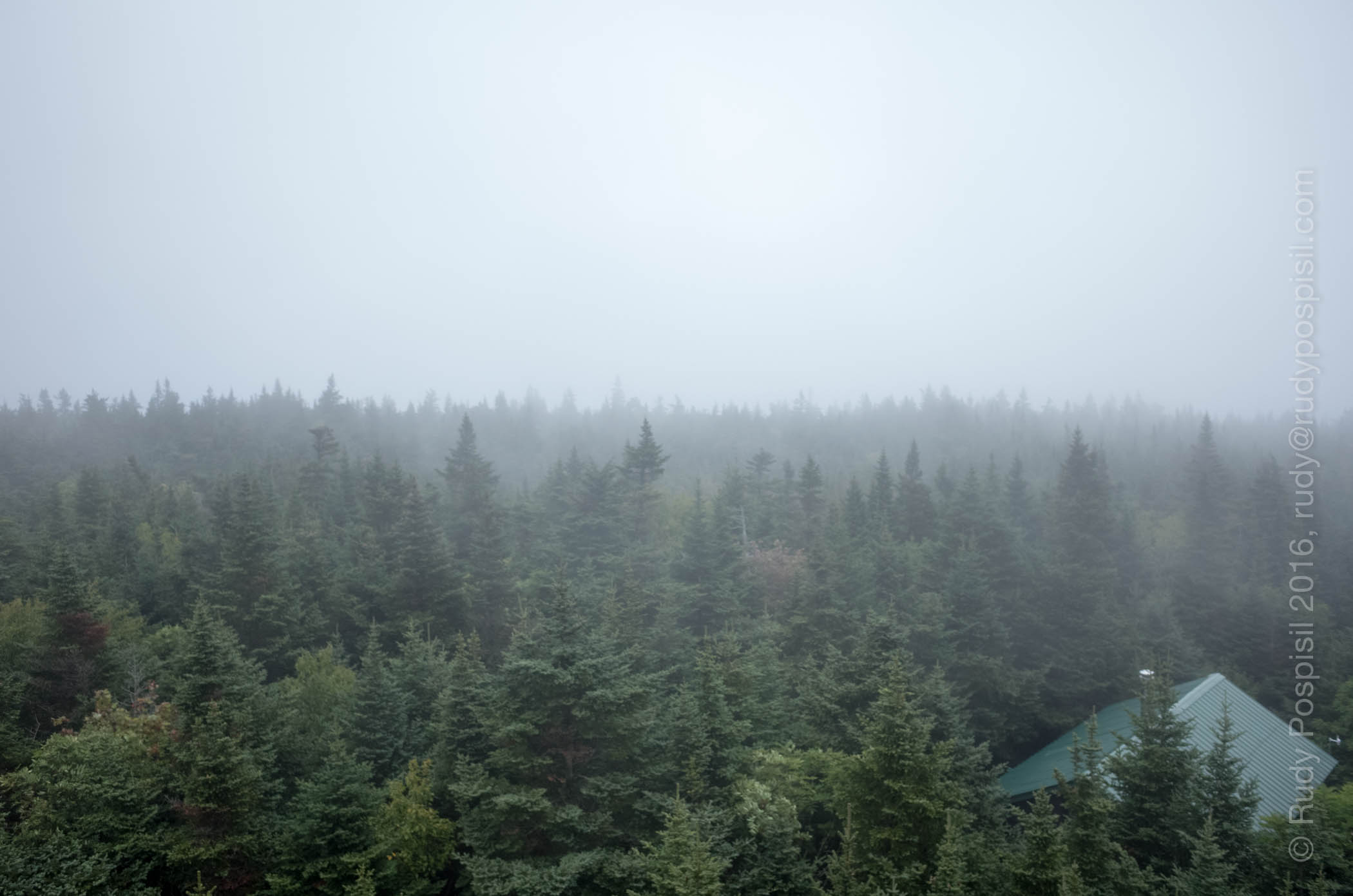 The very foggy view from the fire tower at the top of Balsam Lake Mountain in the Catskills.