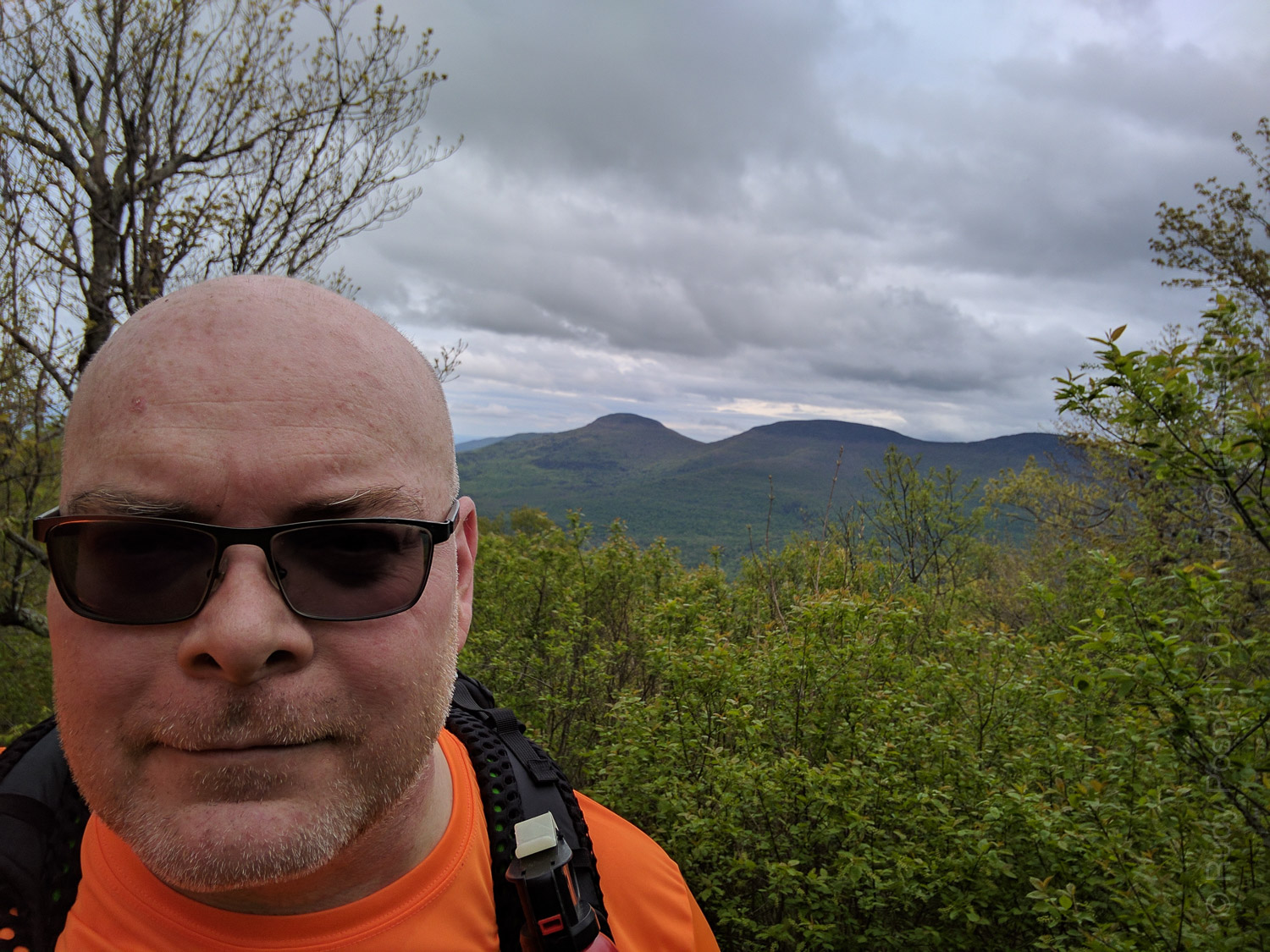 Your's truly, near the summit of Windham High Peak in the Catskill Mountains. That's Blackhead Range in the background.